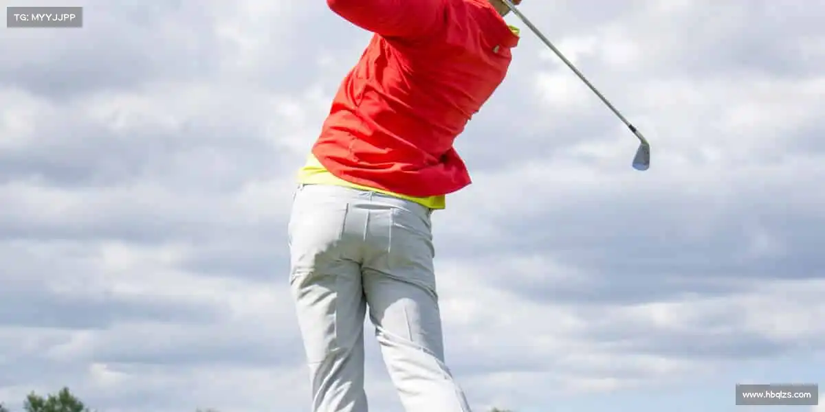 行业领先的理由